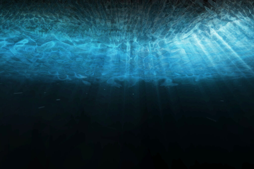 Plus de 20 % de l’océan mondial a subi un assombrissement important au cours des deux dernières décennies, réduisant considérablement la profondeur des zones photiques – les couches ensoleillées essentielles à la plupart de la vie marine.
