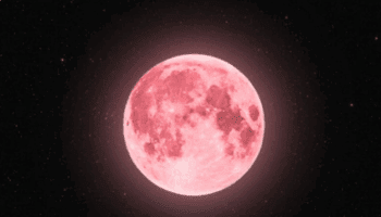 la Lune Fraise. Ce phénomène astronomique, qui doit son nom aux traditions amérindiennes plutôt qu'à une véritable transformation de notre satellite, représente bien plus qu'une simple pleine lune.