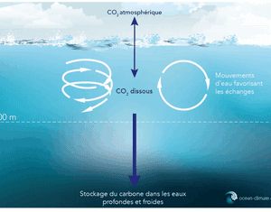 Le carbone constitue aujourd’hui un élément déterminant de la vie sur Terre, car les formes et les quantités sous lesquelles il est présent apparaissent comme essentielles au bon fonctionnement des écosystèmes, du climat, mais aussi des processus géologiques.