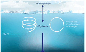 Le carbone constitue aujourd’hui un élément déterminant de la vie sur Terre, car les formes et les quantités sous lesquelles il est présent apparaissent comme essentielles au bon fonctionnement des écosystèmes, du climat, mais aussi des processus géologiques.