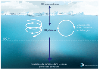 Le carbone constitue aujourd’hui un élément déterminant de la vie sur Terre, car les formes et les quantités sous lesquelles il est présent apparaissent comme essentielles au bon fonctionnement des écosystèmes, du climat, mais aussi des processus géologiques.