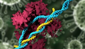 le 19 juin 2025. Les chercheurs ont tenté un coup de poker : des nanoparticules lipidiques (NPL) pour balancer le système CRISPR/Cas9 direct dans les mitochondries.