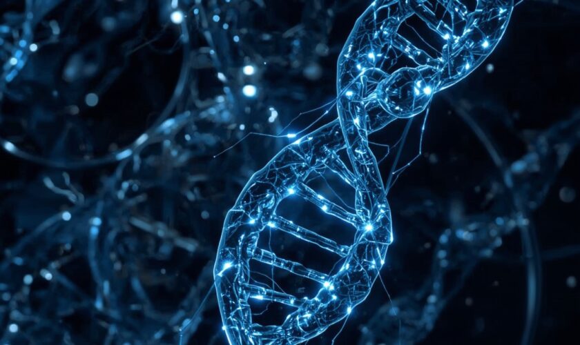 La microscopie à ADN crée des cartes 3D de la vie de l'intérieur vers l'extérieur