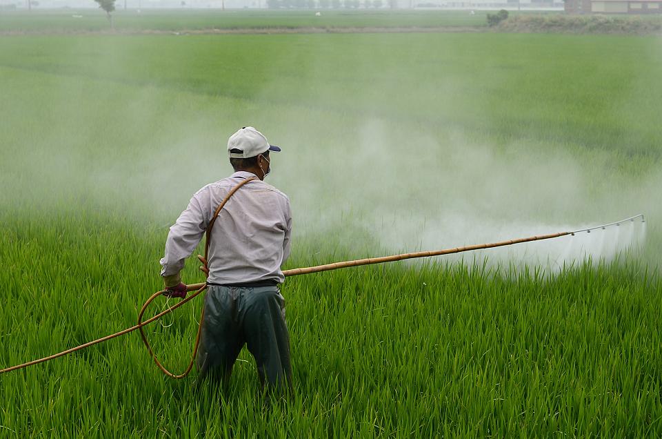 Les fongicides utilisés en agriculture ont été associés à une augmentation de la résistance aux médicaments antifongiques chez les humains et les animaux.