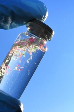 Les chercheurs ont découvert que les polymères naturels dérivés du gombo et du fenugrec sont très efficaces pour éliminer les microplastiques de l’eau.