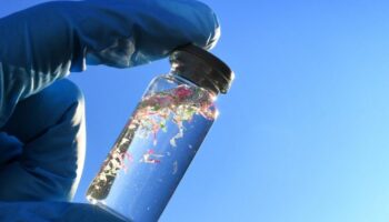 Les chercheurs ont découvert que les polymères naturels dérivés du gombo et du fenugrec sont très efficaces pour éliminer les microplastiques de l’eau.