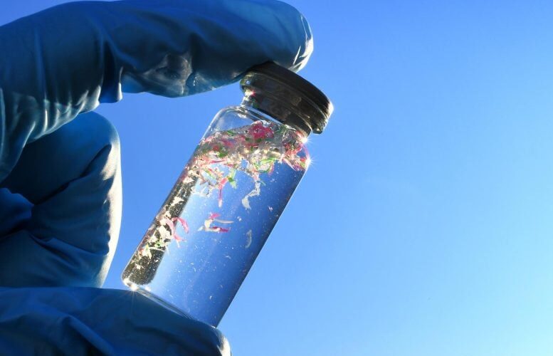 Les chercheurs ont découvert que les polymères naturels dérivés du gombo et du fenugrec sont très efficaces pour éliminer les microplastiques de l’eau.