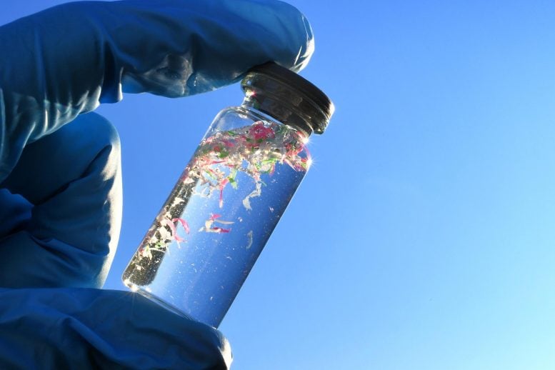 Les chercheurs ont découvert que les polymères naturels dérivés du gombo et du fenugrec sont très efficaces pour éliminer les microplastiques de l’eau.