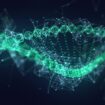 LINE-1, un “gène sauteur” représentant 20 % du génome, envahit l'ADN lors de la division cellulaire à l'aide de groupes protéine-ARN, offrant ainsi un aperçu de l'évolution et de la maladie du génome.